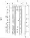 Fig. 04 - RETARDATION FILM, DISPLAY DEVICE COMPRISING SAME, AND COATING COMPOSITION FOR SAME