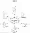 Fig. 02 - Electronic device