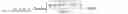 Fig. 06 - Display panel and display device