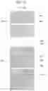 Fig. 17 - Liquid crystal display comprising a pixel electrode having a transverse stem, a longitudinal stem, and a plurality of minute branches