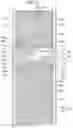Fig. 22 - Liquid crystal display comprising a pixel electrode having a transverse stem, a longitudinal stem, and a plurality of minute branches