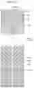Fig. 23 - Liquid crystal display comprising a pixel electrode having a transverse stem, a longitudinal stem, and a plurality of minute branches