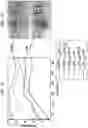 Fig. 09 - Electrochromic nickel oxide simultaneously doped with lithium and a metal dopant