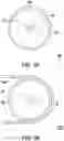 Fig. 03 - Polarizing rotation device and projection device