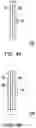 Fig. 07 - Polarizing rotation device and projection device