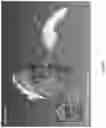 Fig. 16 - Real-time tracking for three-dimensional imaging