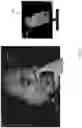 Fig. 21 - Real-time tracking for three-dimensional imaging