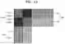 Fig. 18 - Photomask for negative-tone development