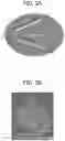 Fig. 04 - Image forming apparatus and toner set
