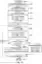 Fig. 10 - Image forming apparatus