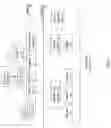 Fig. 02 - Developer critical dimension control with pulse development