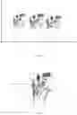 Fig. 11 - Method and apparatus for optimizing scan data and method and apparatus for correcting trajectory