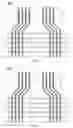Fig. 03 - Flexible display panel and flexible display device