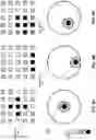 Fig. 08 - Eye tracking using reverse-biased light-emitting diode devices