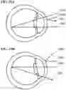 Fig. 11 - Holographic Waveguide Optical Tracker