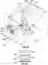 Fig. 37 - Holographic Waveguide Optical Tracker