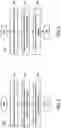 Fig. 06 - Input commands via visual cues