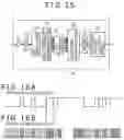 Fig. 11 - Pointer, position detection apparatus and position detection method