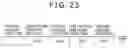 Fig. 16 - Pointer, position detection apparatus and position detection method