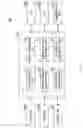 Fig. 06 - Information processing apparatus, information processing method, and program