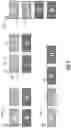 Fig. 03 - Tool for arranging objects and adjusting spacing in a layout