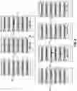Fig. 09 - Tool for arranging objects and adjusting spacing in a layout