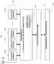 Fig. 15 - Tool for arranging objects and adjusting spacing in a layout