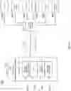 Fig. 10 - Conversion and display of a user input