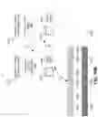 Fig. 35 - Redundant distributed data storage system