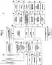 Fig. 08 - DIGITAL CAMERA WITH PRINTER, PRINTING METHOD OF DIGITAL CAMERA WITH PRINTER, AND DATA STORAGE SYSTEM