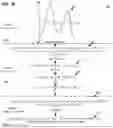 Fig. 04 - AUDIO SYNCHRONIZATION AND DELAY ESTIMATION