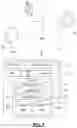 Fig. 02 - Intercepted loading of web applications