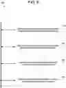 Fig. 08 - Collaborative model execution