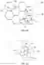 Fig. 08 - DIGITAL PICTURE FRAMES AND METHODS OF PHOTO SHARING
