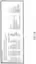 Fig. 12 - DIGITAL PICTURE FRAMES AND METHODS OF PHOTO SHARING