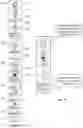 Fig. 11 - Analyzing captured sound and seeking a match for temporal and geographic presentation and navigation of linked cultural, artistic, and historic content