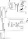 Fig. 02 - Enhanced processing of time series data via parallelization of instructions