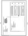 Fig. 09 - Apparatus and method for calling a function in a database with a URL