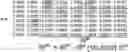 Fig. 01 - Efficient matrix property determination with pipelining and parallelism