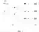Fig. 02 - Memory preserving parse tree based compression with entropy coding