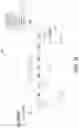 Fig. 12 - Preserving and processing ambiguity in natural language