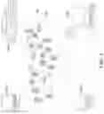 Fig. 03 - Recognizing transliterated words using suffix and/or prefix outputs