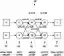 Fig. 01 - Persistent word vector input to multiple machine learning models
