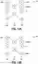 Fig. 22 - Persistent word vector input to multiple machine learning models