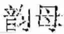 Fig. 51 - Language entity identification