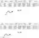 Fig. 07 - DATASET ORCHESTRATION WITH METADATA VARIANCE DATA