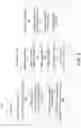 Fig. 03 - Character recognition