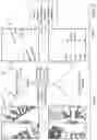 Fig. 03 - Methods and systems for parking line marker detection and pairing and parking spot detection and classification