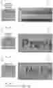 Fig. 06 - Training image-processing neural networks by synthetic photorealistic indicia-bearing images