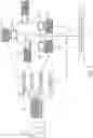 Fig. 03 - Identification and/or verification by a consensus network using sparse parametric representations of biometric images